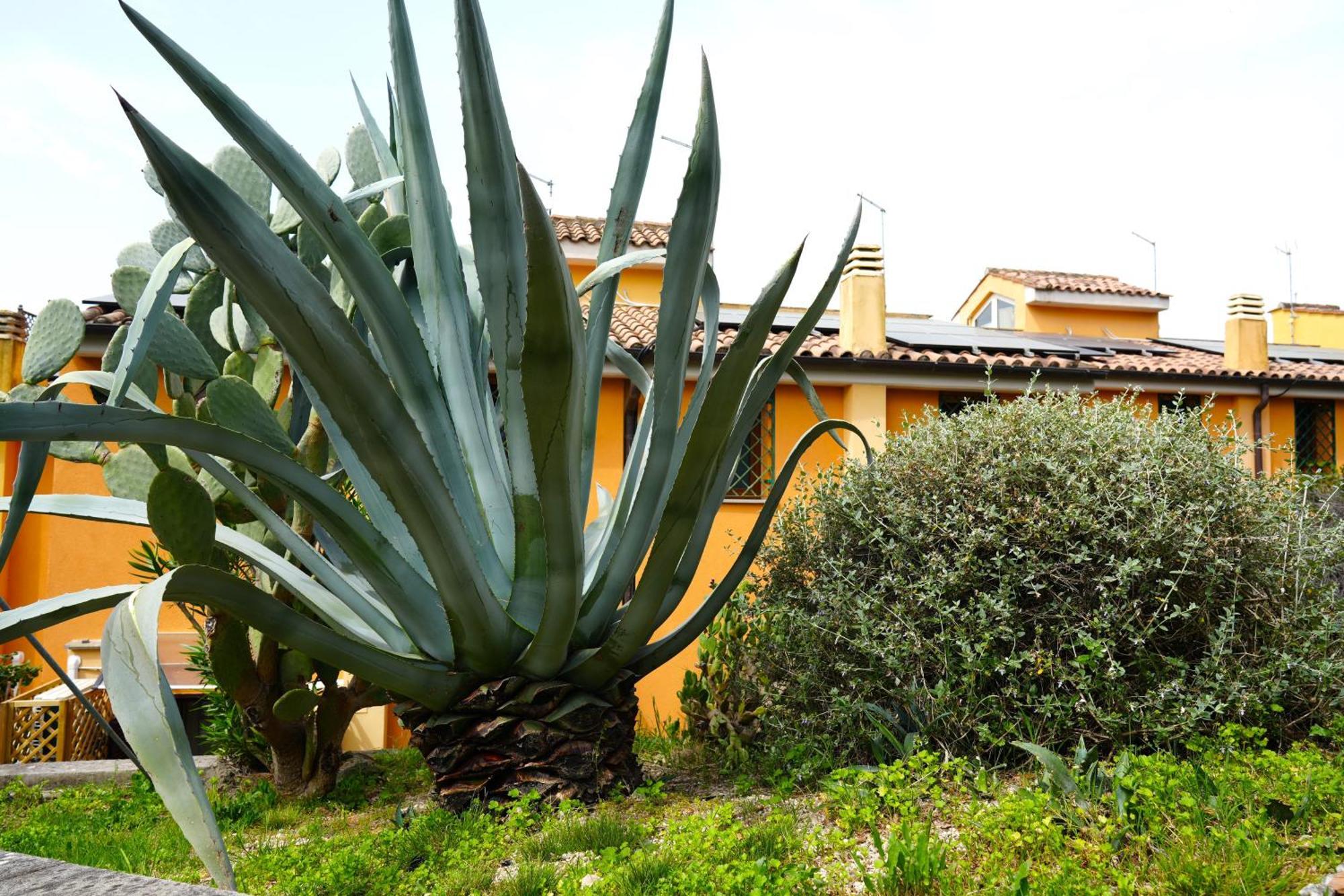 Jannuzzi House Villa Trevignano Romano Exterior photo